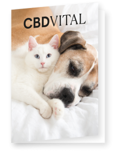 Broschüre CBD Pflanzenkraft für Hunde & Katzen